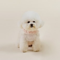 Woolly Ettoi胸背帶組, 1套, 粉色