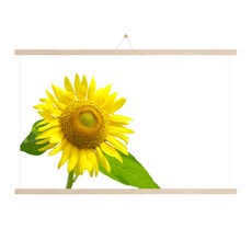 우드족자 + 포스터 + 꼭꼬핀 세트 머니플라워G, 베이지우드, 1개