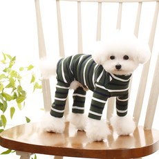 Pet Design Double ST 四腳衣, 綠色