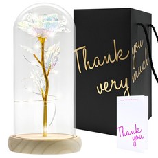 포포팬시 LED 오브제 골든 장미 유리돔 파티 무드등 대 + 메시지카드 세트 + 쇼핑백, 화이트