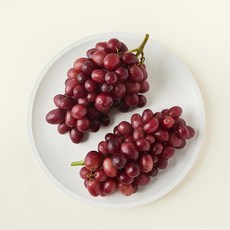 선뷰 미국산 씨없는 스파클 루비적포도, 1개, 800g