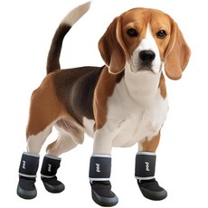 Pets Family 反光線的寵物鞋4件組, 黑色, 1套