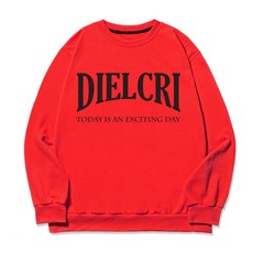 DIELCRI 男士大尺碼 EXCITING DAY 大標誌運動衫 T恤