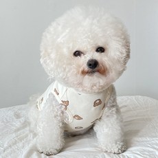 바이담수미 강아지 티티곰 나시 티셔츠, 아이보리, 1개