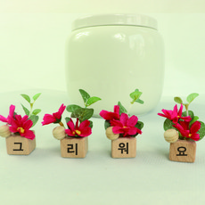 Nobly 雛菊木迷你花盆 4件組, 紅色, 1套
