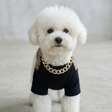 그루밍독 반려동물 힙스터 체인 목걸이, 골드, 1개 골드, 1개