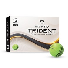 빅야드 트라이던트 골프공 3피스, 그린, 12개입, 1개