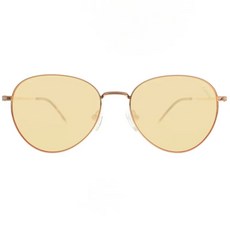 CARIN 耀眼飛行框太陽眼鏡 NewJeans配戴款 LEA_C2