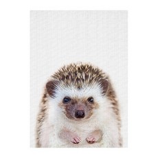 幼兒動物寫實配電箱插畫布質海報 刺蝟