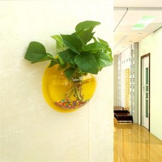 Life Sweet 壓克力壁掛式花盆 魚缸, 透明黃色