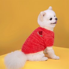 아티펫 반려동물 따뜻한 과일 벨벳 스웨터, 레드, 1개