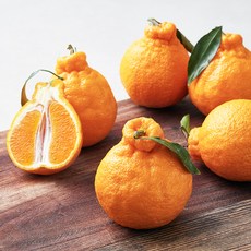 블랙홀 당도선별 한라봉, 1.5kg(중과), 1개 1.5kg(중과), 1개