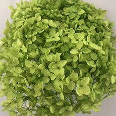 客廳室內裝飾裝飾花 C_RD_73, 綠色