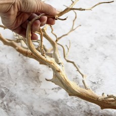 東方風情永恆樹枝裝飾品, 米色, 1個