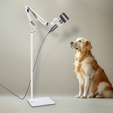 DING DONG PET 寵物落地式角度可調吹風機支架 大型, 白色, 1個