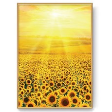 SyongSyong Mall Market 向日葵K 海報 + 畫框, 黃金, 1個