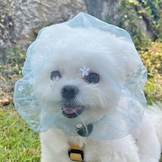 멍템 강아지 플라워 페이스커버, 블루, 1개