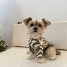 강아지 봉쥬르뚜뚜 Merry 골지 터틀넥 티셔츠, 카키, 1개