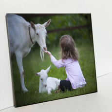 HTP 磁磚 山羊與少女 C2979