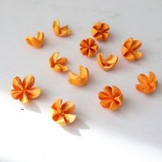 GAPANG 乾燥花 DRYI043 12入, 橙色數字 03