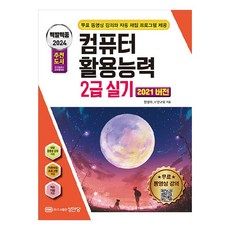 2024 백발백중 : 컴퓨터활용능력 2급 실기 2021 버전, 성안당