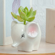 動物農場光澤公仔迷你花盆 YT_RA010, 大象