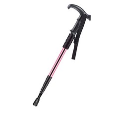 女款登山杖, 紫色的
