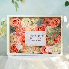 肥皂花美分籃花反轉零錢盒+購物袋, 珊瑚