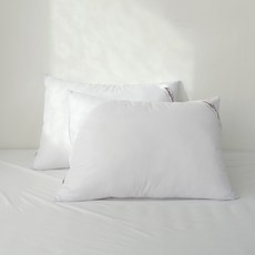 拉鍊型壓花枕芯 2入, 單色