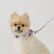 베럴즈 반려동물 마틴게일 목줄, 체크라일락, 1개