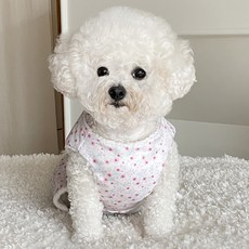 BYDAMSOOMI 狗皮毛花baeja, 粉色的