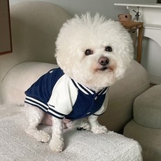 bydamsoomi 狗狗 狗狗學校 夾克, 海軍藍