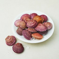 어부심 국내산 제철 홍가리비 (냉장), 1개, 1kg