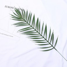 Store91尤加利葉拍攝道具 L, 混合顏色, 1個