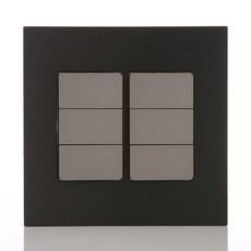 第一電氣工業Adonis開關 黑色珍珠 1排6孔 2個用, 1個