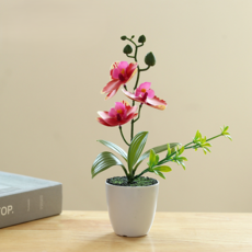 소울리치 러블리한 호접란 조화 세트, 스타일6, 1세트