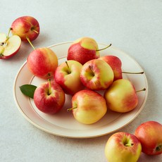 당찬 미니 사과, 1개, 800g