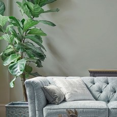 로라애슐리 실내용 매트 에멀전 페인트, SAGE LEAF, 1개, 2.5L