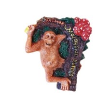 세계 여행 컬렉션 냉장고 자석, 아시아말레이시아코타키나발루B