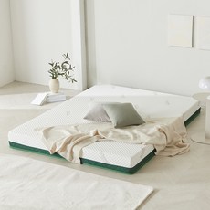 웰퍼니쳐 윌로우 스마트폼 매트리스, 그린, 14cm