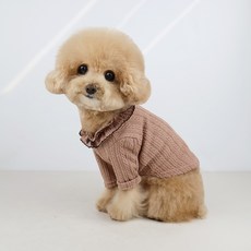 그루밍독 강아지 라떼 리본 티셔츠, 초코, 1개