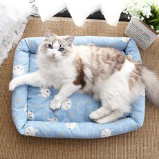 파스텔펫 강아지 고양이 사계절 방석쿠션, 블루, 1개