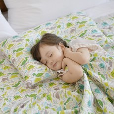 아띠블랑 인견 어린이베개 커버2p+ 속통1p, 디노랜드