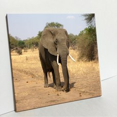 UDP 磁磚畫框 114543