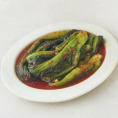 도미솔식품 아삭한 도미솔 김치 갓김치, 900g, 1개