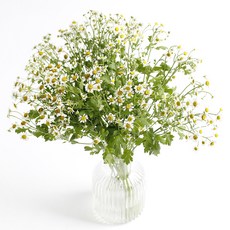 아임플라워 생화 캐모마일, 혼합색상, 1개