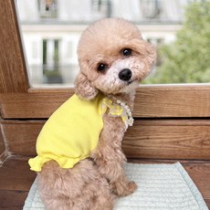 그루밍독 강아지 플라워 오프숄더 민소매 나시, 옐로우, 1개