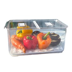 Homevanesse 透明PET排水孔盤保鮮盒 XL號