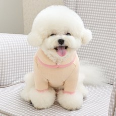 BENNYS 狗狗蛋塔領針織衫, 象牙白, 1個