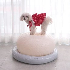 Dingdong Pet 寵物穩固平衡健身球 Ivory 1個